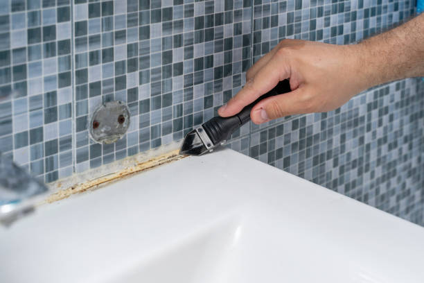 Professional Mold Remediation in Trumansburg, NY