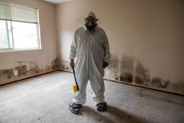 Best Mold Testing and Inspection Services in Trumansburg, NY