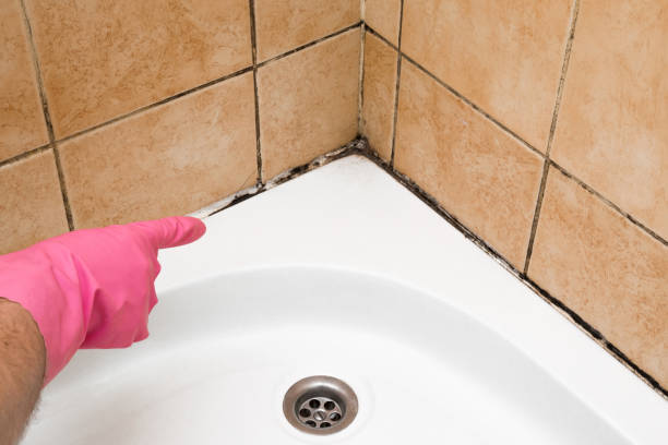 Best Emergency Mold Remediation in Trumansburg, NY